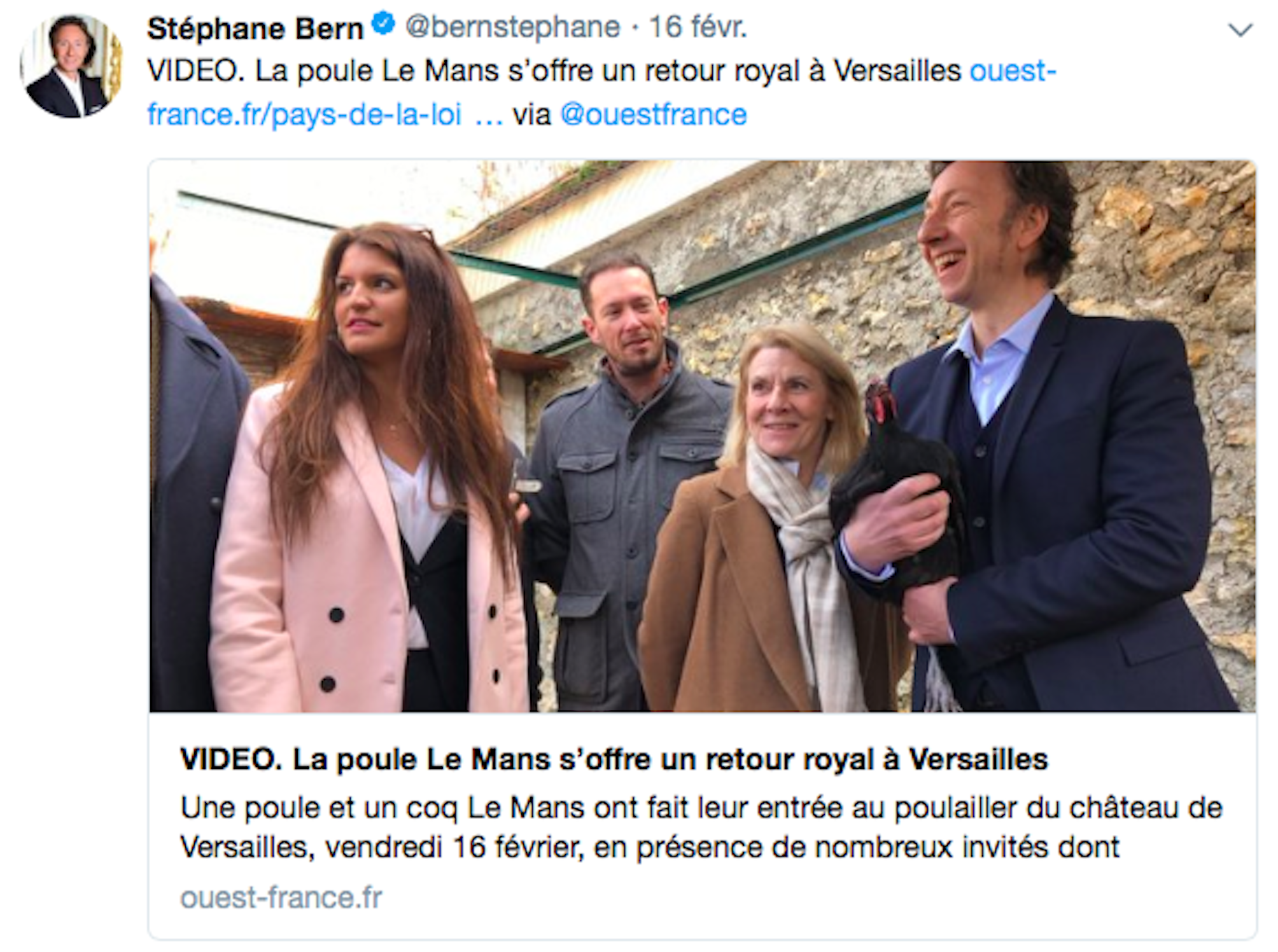 Tweet de Stéphane Bern le 16 février sur le retour de la poule Le Mans à Versailles